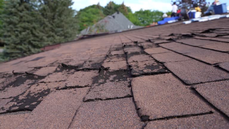 Best Metal Roofing Installation  in Avalon, PA