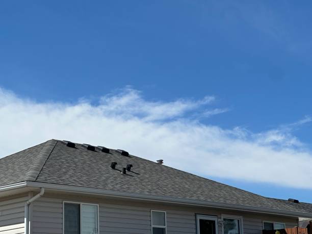 Best Metal Roofing Installation  in Avalon, PA